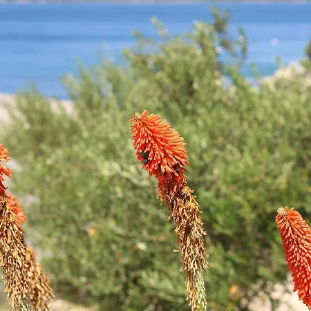 By The Sea Cove Pjestata, Peljesac - 10236 Apartment *